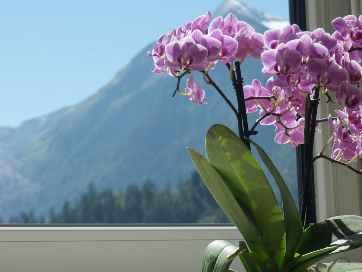 Apartment With Terrace In Kaprun Salzburg ภายนอก รูปภาพ